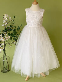 Lace Bodice with Sparkle Tulle Skirt