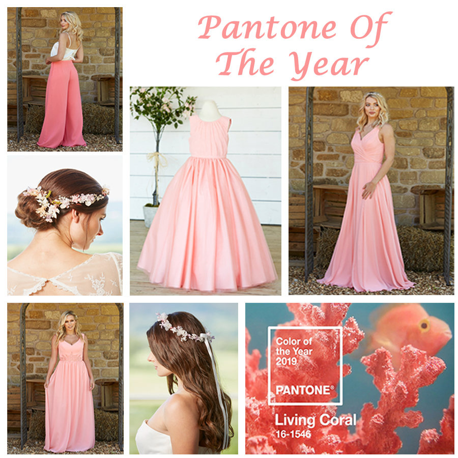 coral pantone of the year copy