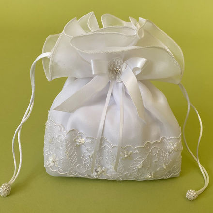 Organza & Beaded Lace Dolly Bag