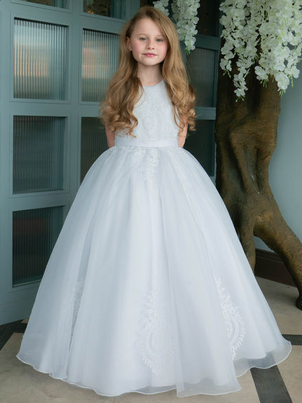 Organza Dress with Ornate Embroidery