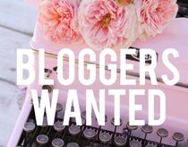 bloggers wanted